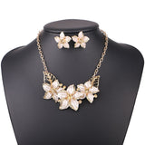 Flower Necklace With Earring Online Shopping Store